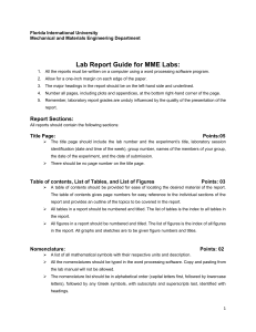 Lab Report Guide Long report