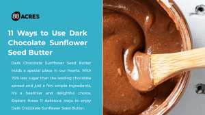 11 Ways to Use Dark Chocolate Sunflower Seed Butter