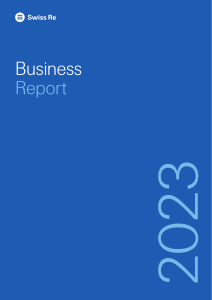 business report en