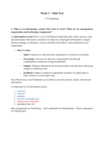 Information Systems Mini Test: UPS Case Study
