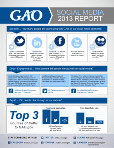 Social Media Report Infographic Template