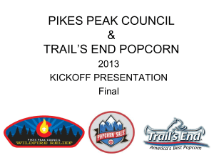 2013 One Sale - Pikes Peak Council