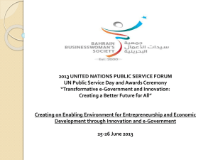 BBS - The United Nations Public Service Forum 2013