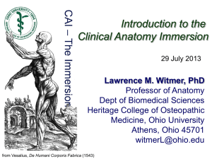 Introduction to the Clinical Anatomy Immersion Lawrence M. Witmer