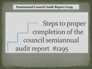 Council Audit Procedures