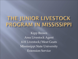 The Junior Livestock Program PowerPoint Presentation