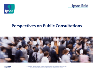 Perspectives on Public Consultations