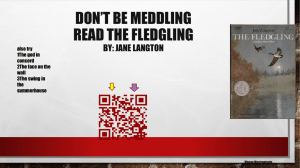 Don*t be Meddling Read The Fledgling by: Jane Langton