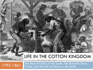Life in the Cotton Kingdom