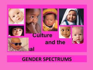 331 Gender Spectrums PowerPoint