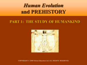 14.9 MB - Human Evolution and Prehistory, Second Canadian Edition
