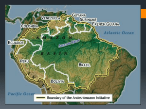 The Yanomami Tribe of the Amazon