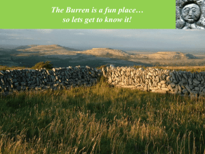 Presentation on the Burren!