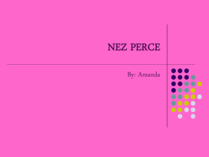 Nez Perce By: Amanda