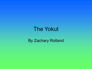 The Yokut