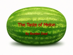 The Taste of Melon