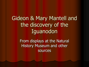 Gideon & Mary Mantell and the discovery of the