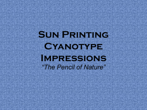 Sun Printing Cyanotype Impressions