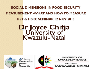 Chitja Social dimensions in food security measurement