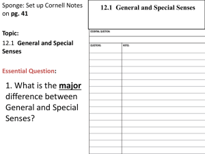 12.1 General and Special Senses