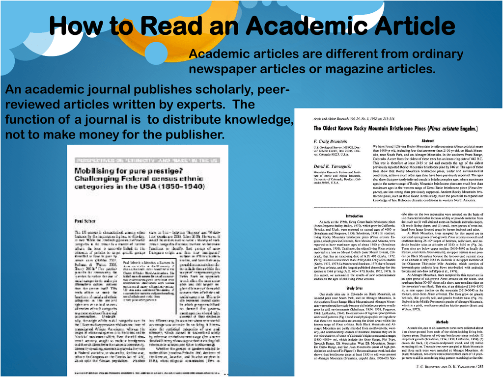 what is article in academic writing