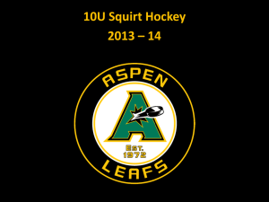 10U Squirt Hockey 2013