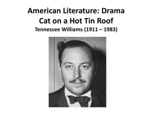 Cat on a hot tin roof final