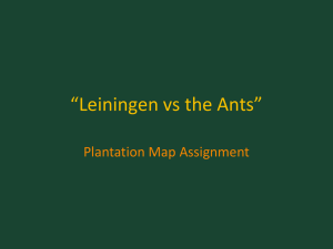 Leiningen vs the Ants