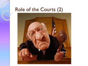 Role of the Courts (2)