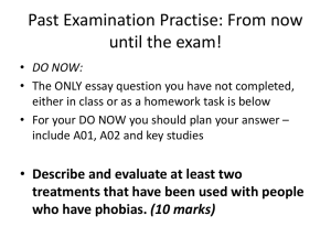 Past Examination Practise: From now until the exam!