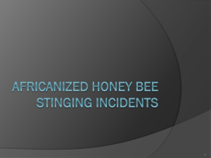 Honeybees - Georgia Beekeepers Association