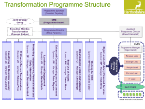 Item 6 - Transformation Programme Structure