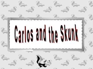 carlos and the Skunk