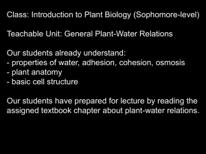 general plant-water relations, wvu 2012