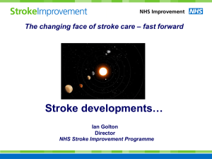 What is the Stroke Improvement Programme?