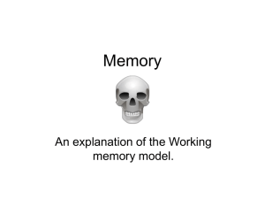 Working memory - VirtualPsychology