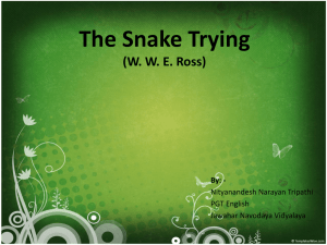 The Snake Trying (W. W. E. Ross)