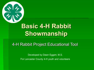 Basic 4-H Rabbit Showmanship - UNL Extension in Lancaster County