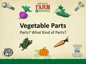 VEGETABLE PARTS - Kentucky Department of Agriculture