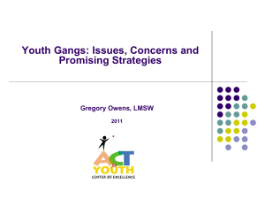 Youth Gangs: - ACT for Youth