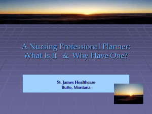 A Nursing Professional Planner - st. james healthcare education