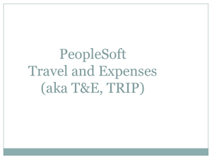 Travel and Expense (T&E) Implementation