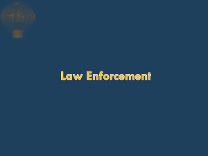 The Law Enforcement System