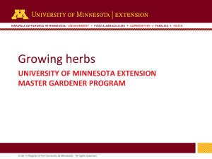 Growing Herbs - University of Minnesota Extension Service