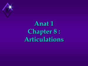 Chapter 8 : Articulations (pII)