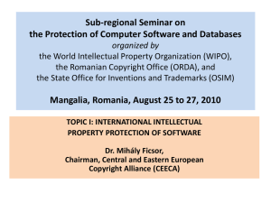 International Intellectual Property Protection of Software