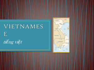 VIETNAMESE