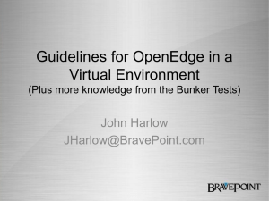 Guidelines for OpenEdge in a Virtual Environment