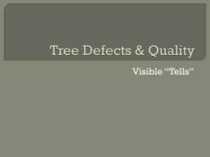 Tree Defects & Quality
