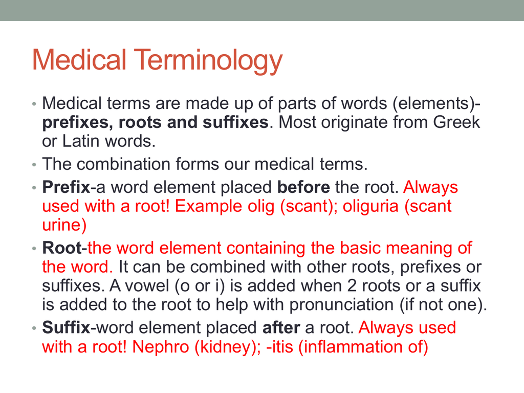 What Is A Prefix Medical Terminology at Hazel Harriet blog